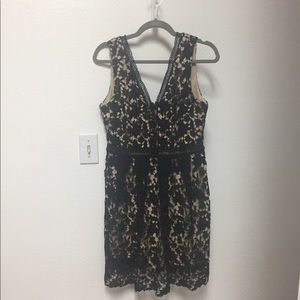 Beautiful lace dress ayla francesa sz L